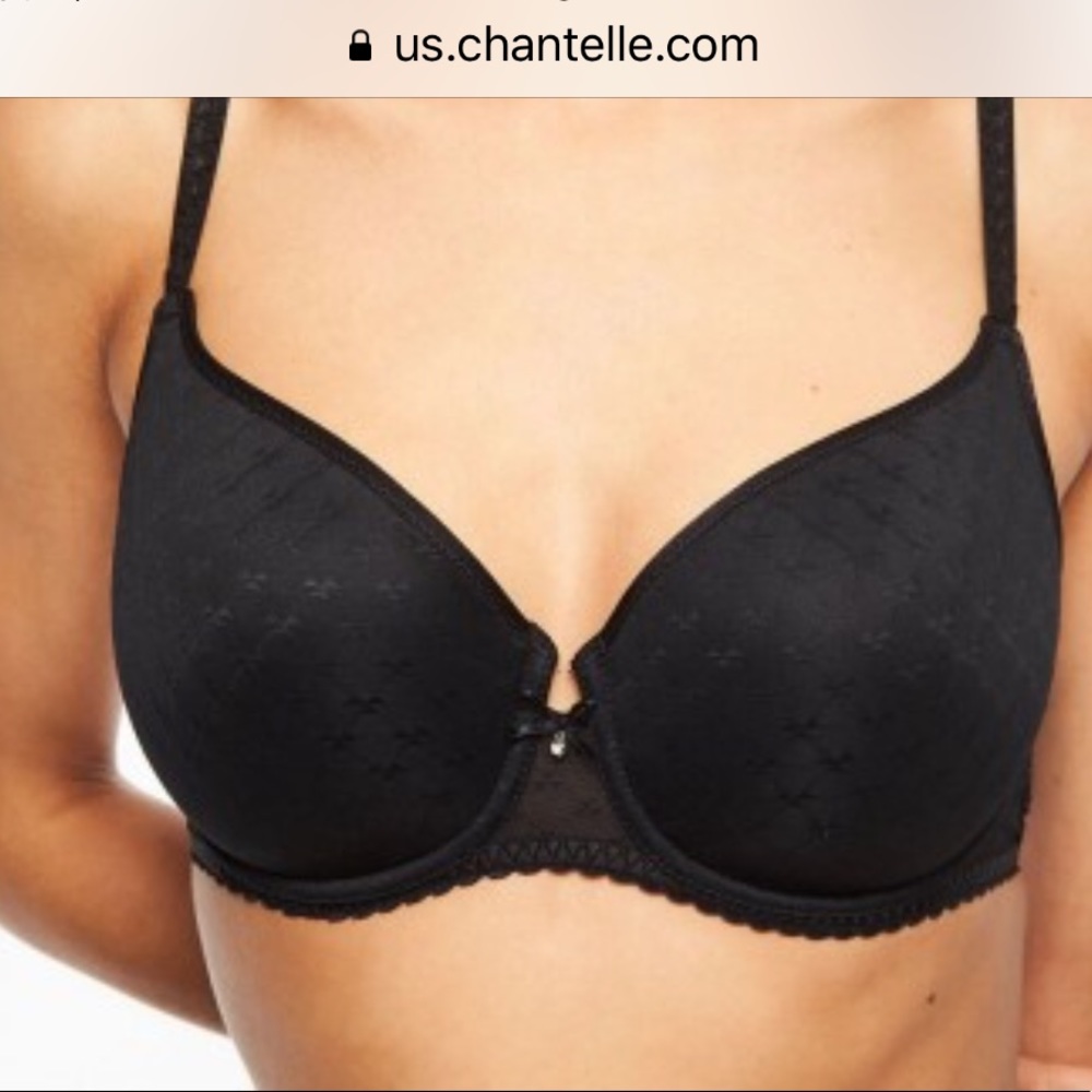 Chantelle Courcelles Convertible Bra 36 DDD